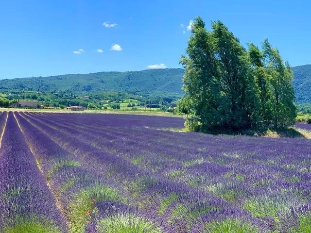 Bastide Du Buou Apartamento Puyvert Exterior foto